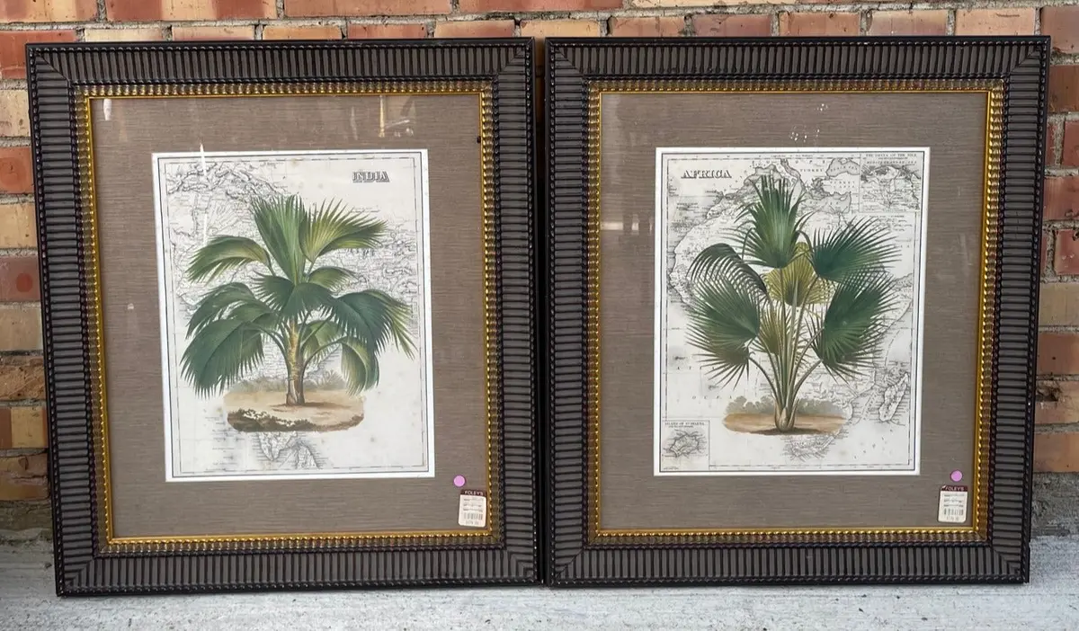 Pair Of Framed Foley African And Undan Palm Prints 1