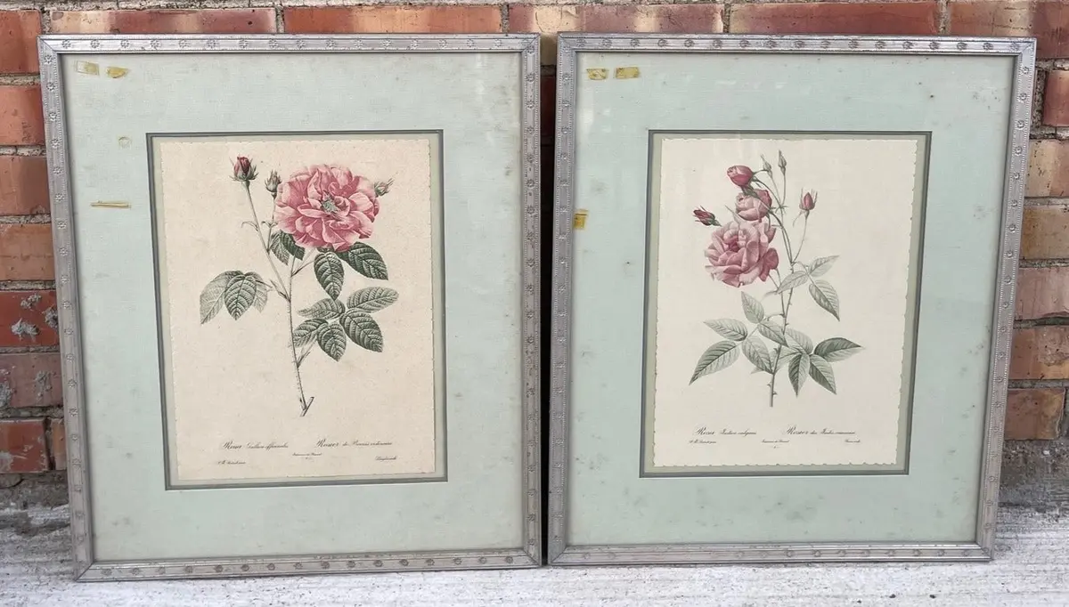 Pair Of Vintage Vertical Rose Prints 1