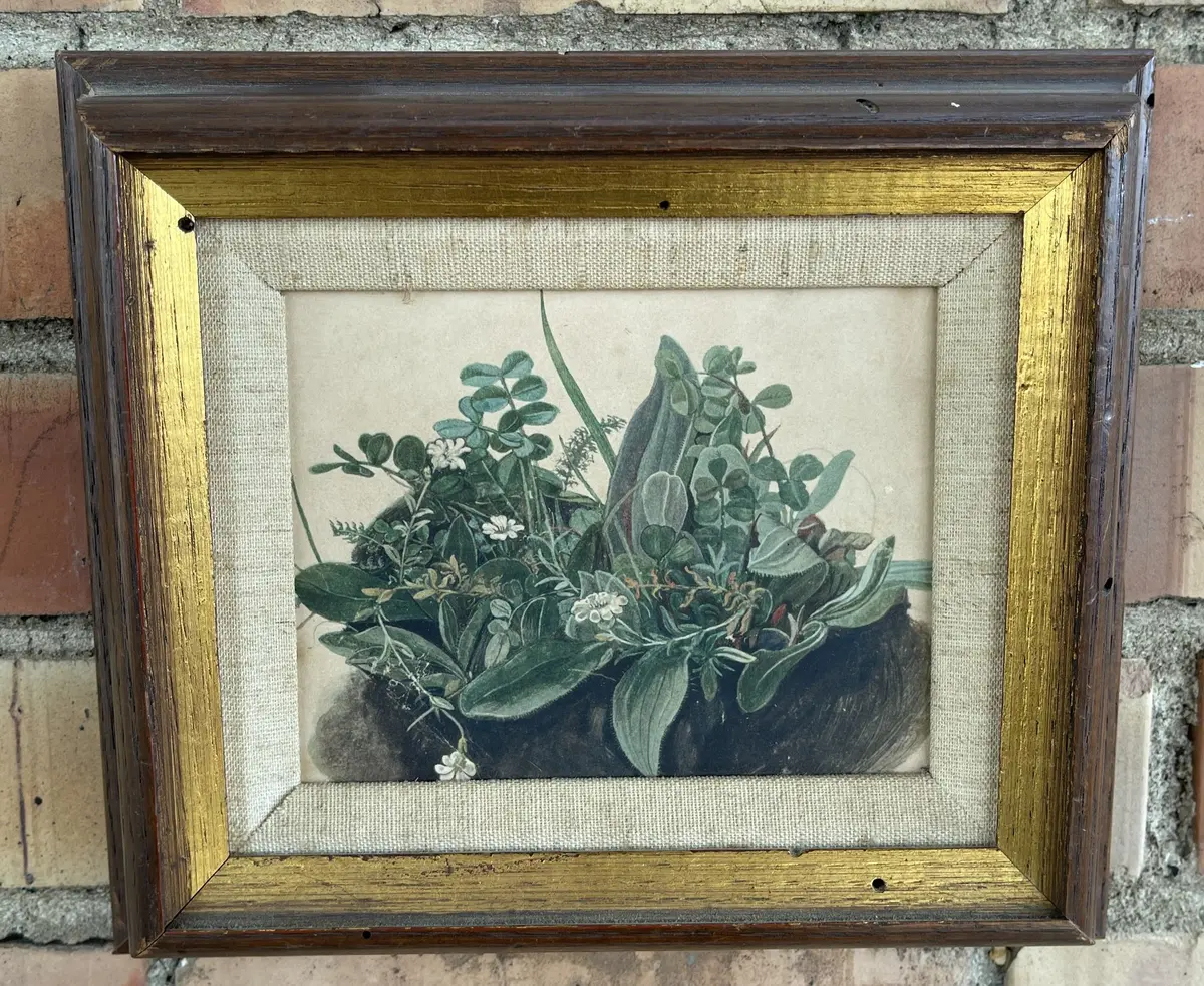 Small Botanical Print In Frame 1