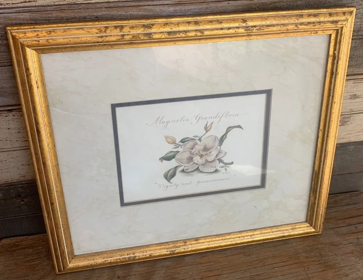 Magnolia Print In Gold Frame 1