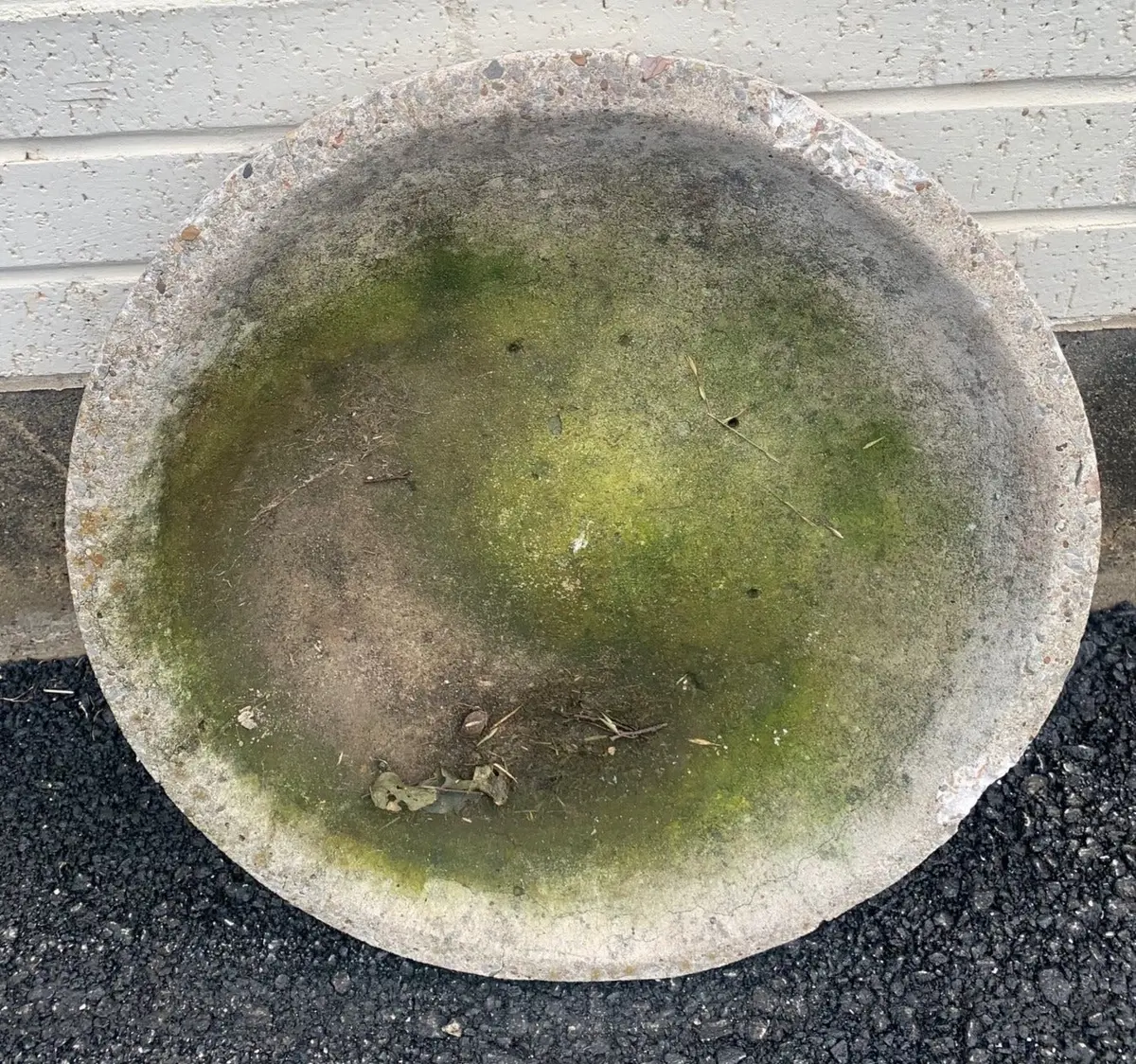 Concrete Bird Bath Basin Only 1
