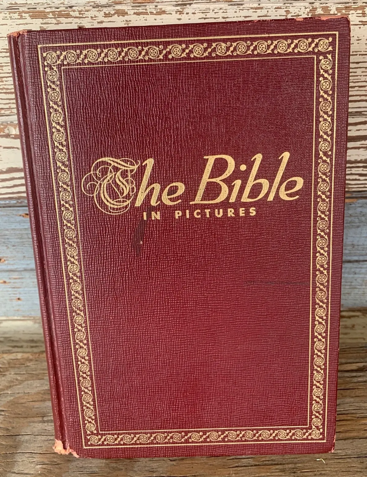 The Bible In Pictures 1
