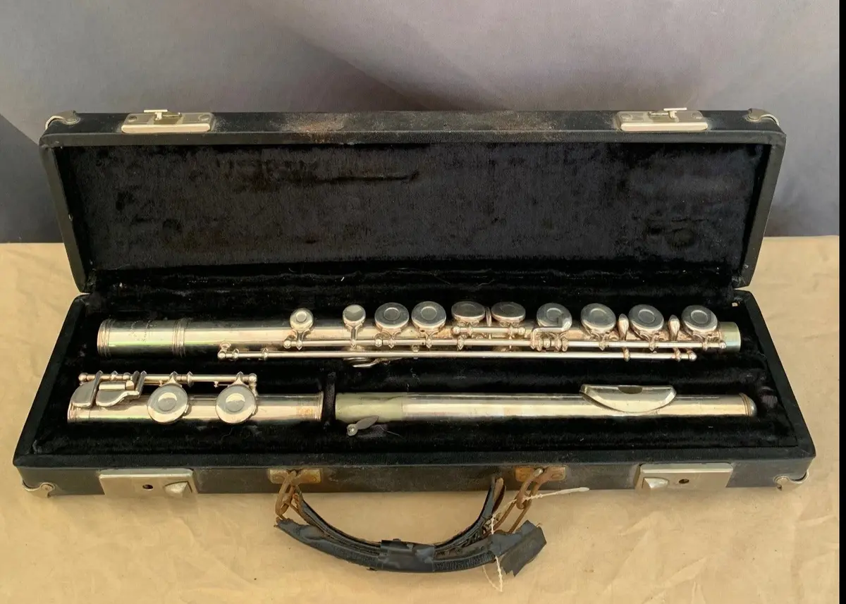 Flute In Black Case 1