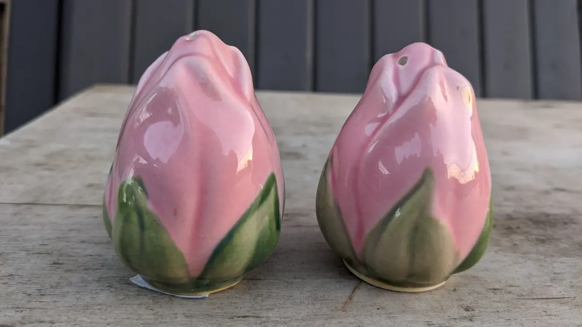Pair Of Porcelain Blosom Salt Shakers 1