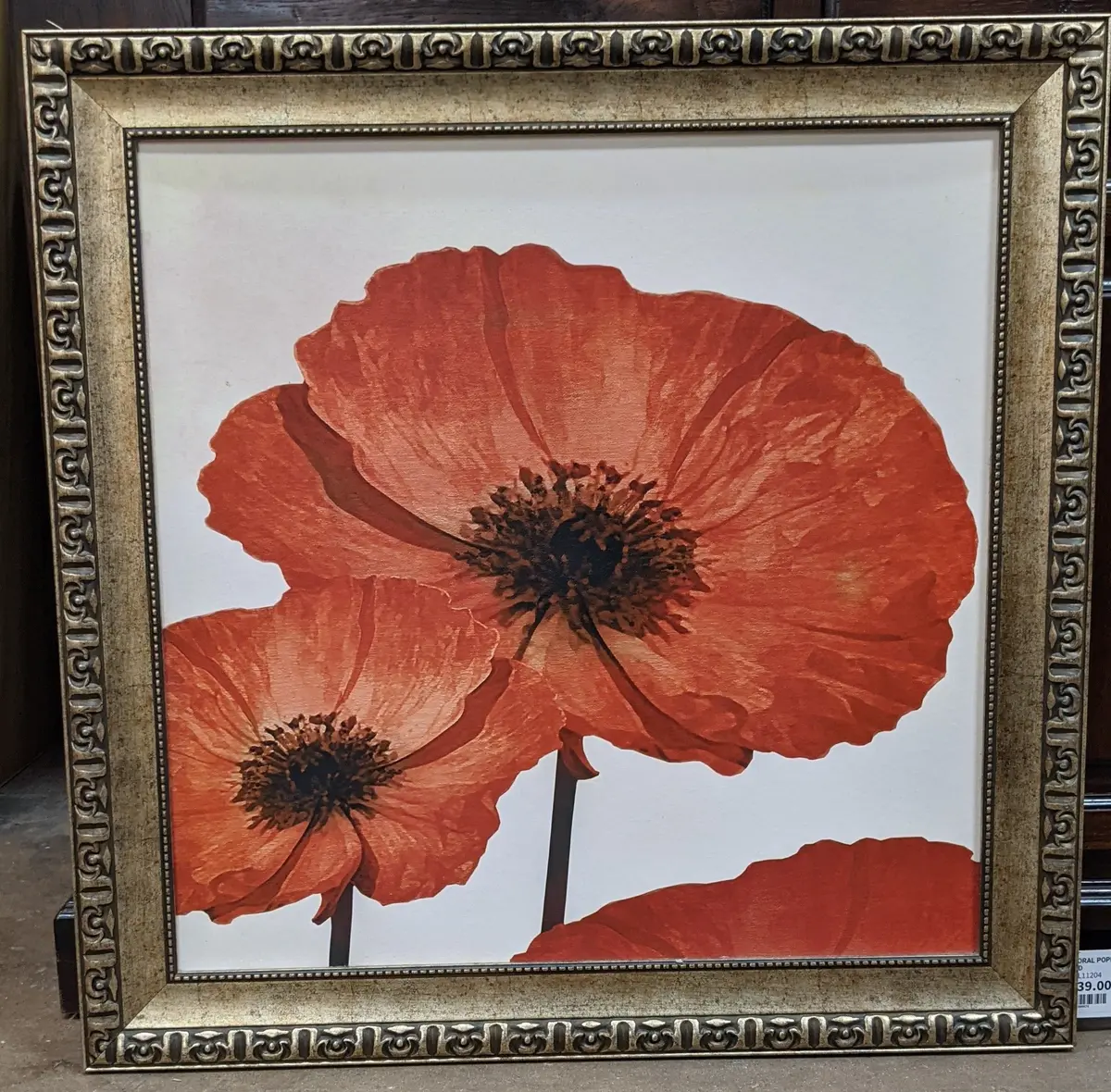 Floral Poppies Giclee-Not Old 1