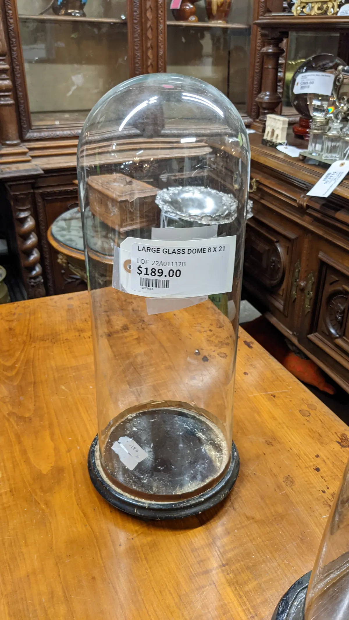 Large Glass Dome 8 X 21 1