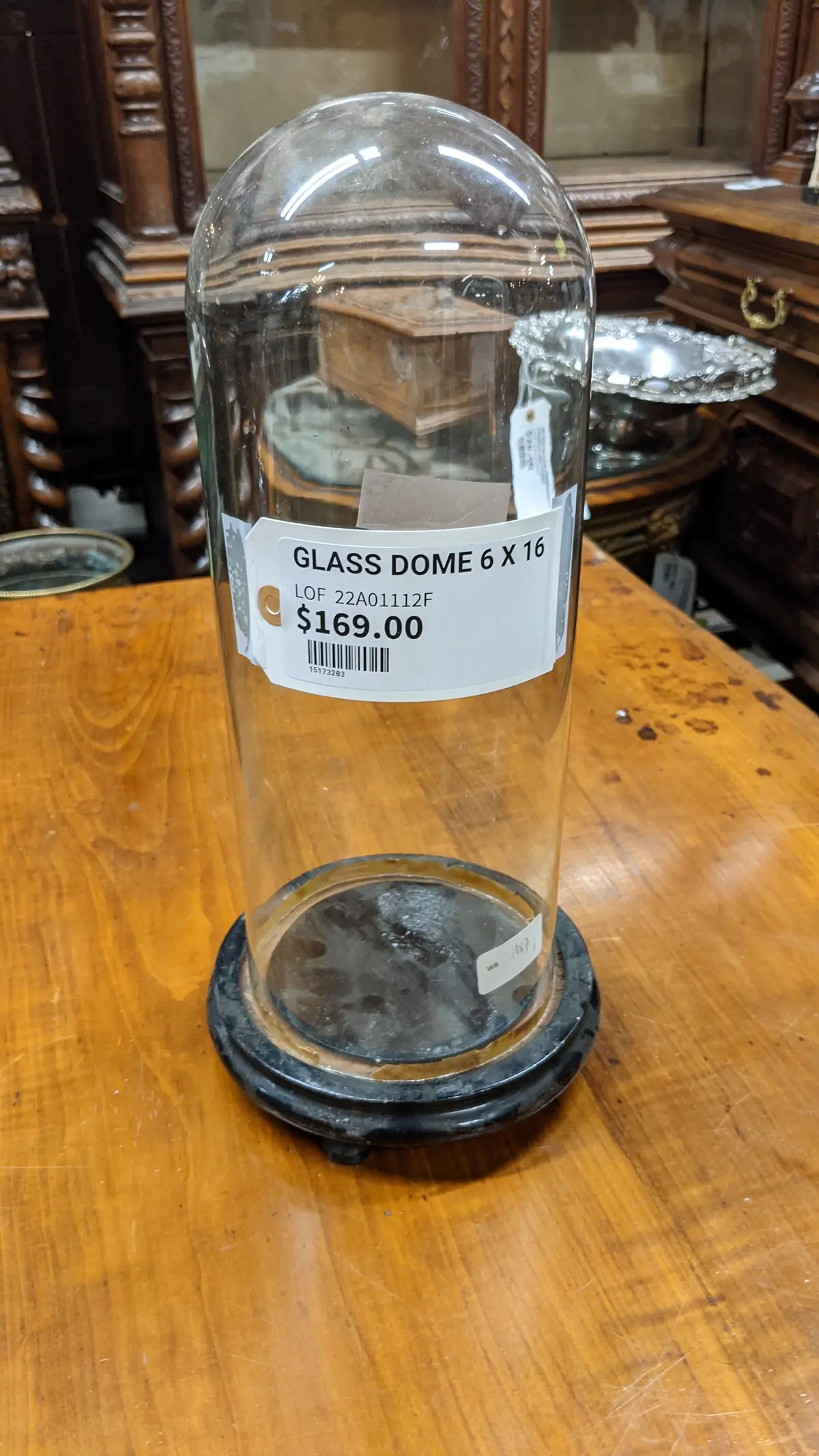 Glass Dome 6 X 16 1