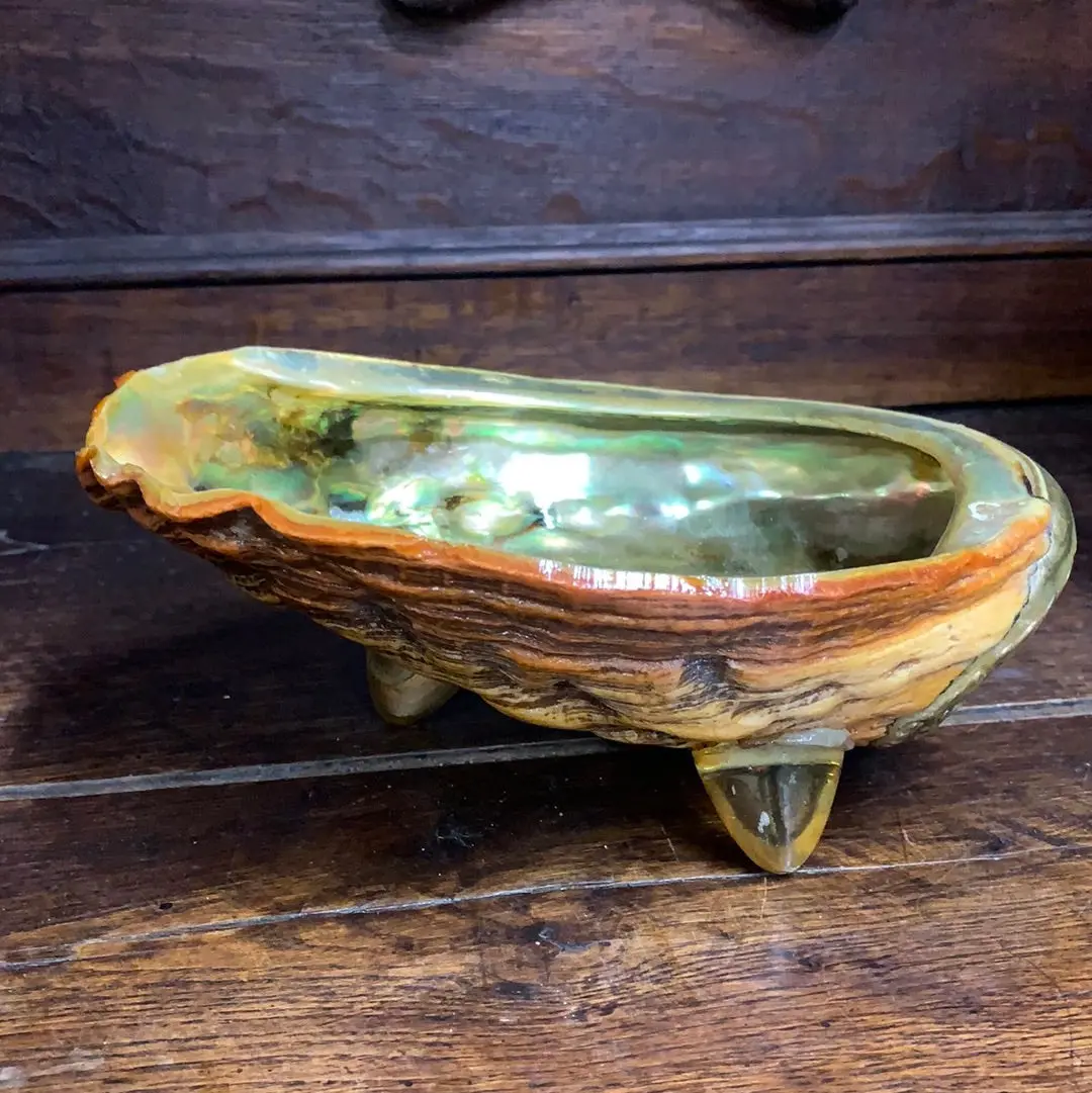 Footed Abalone Shell Dish 1