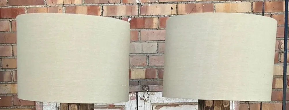 Pair Of Taupe Shades With Brown Inside 1