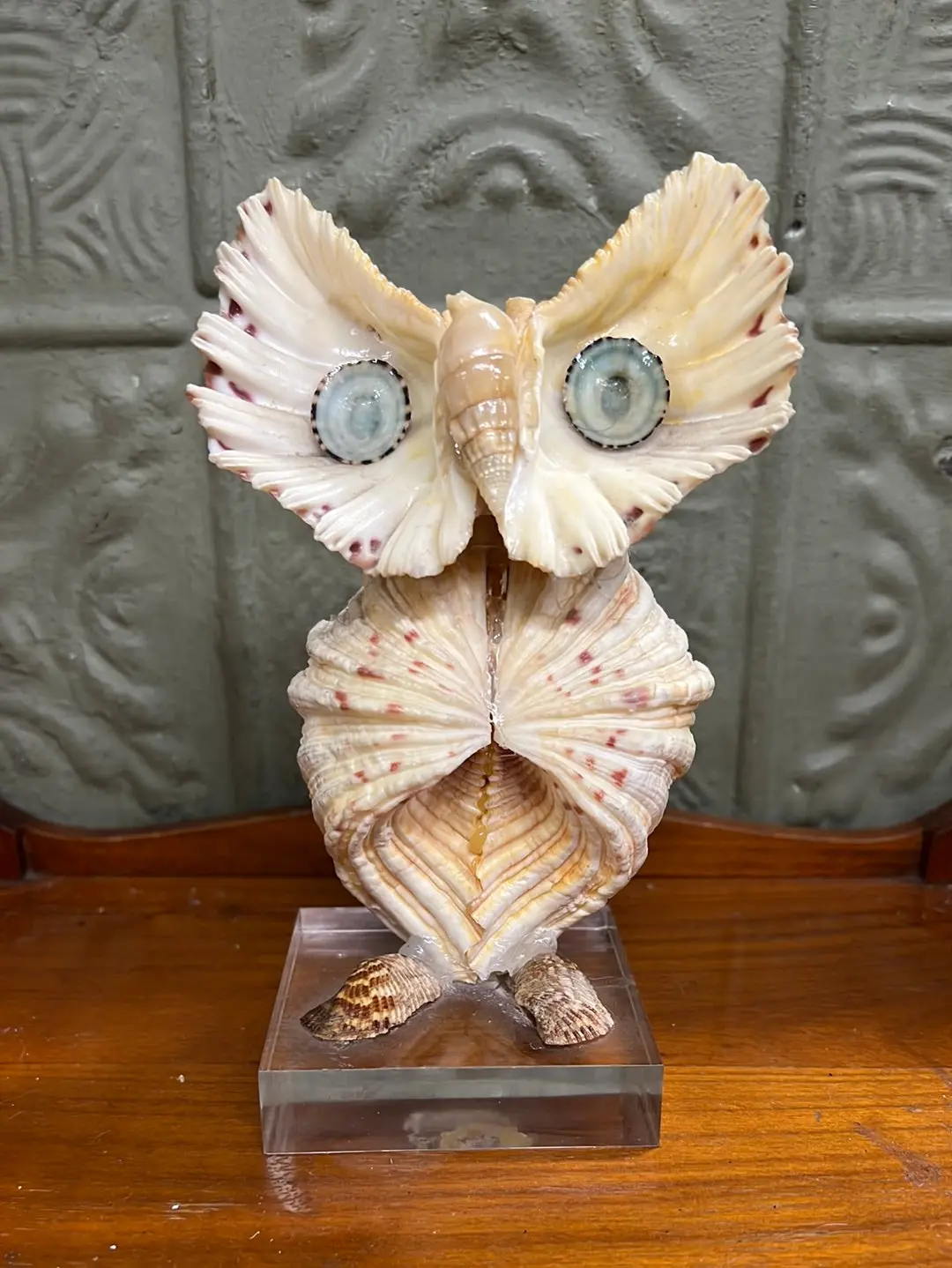 Owl Made Of Shells On Acrylic Base 1