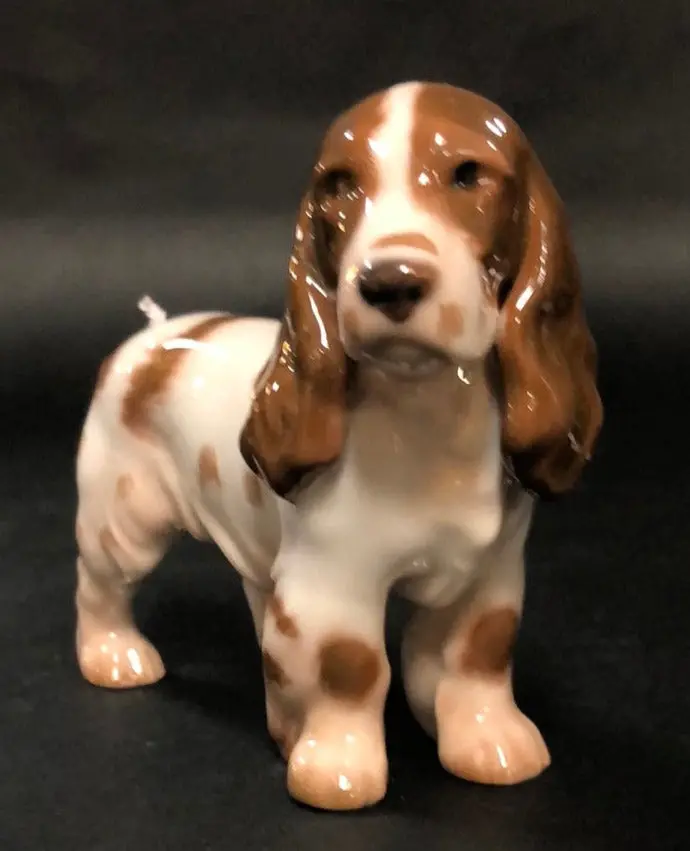 English Spaniel Dog 1