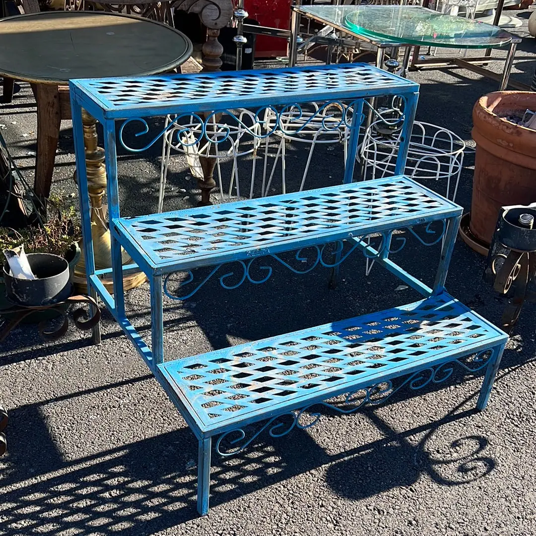 Blue Iron Plant Step 1