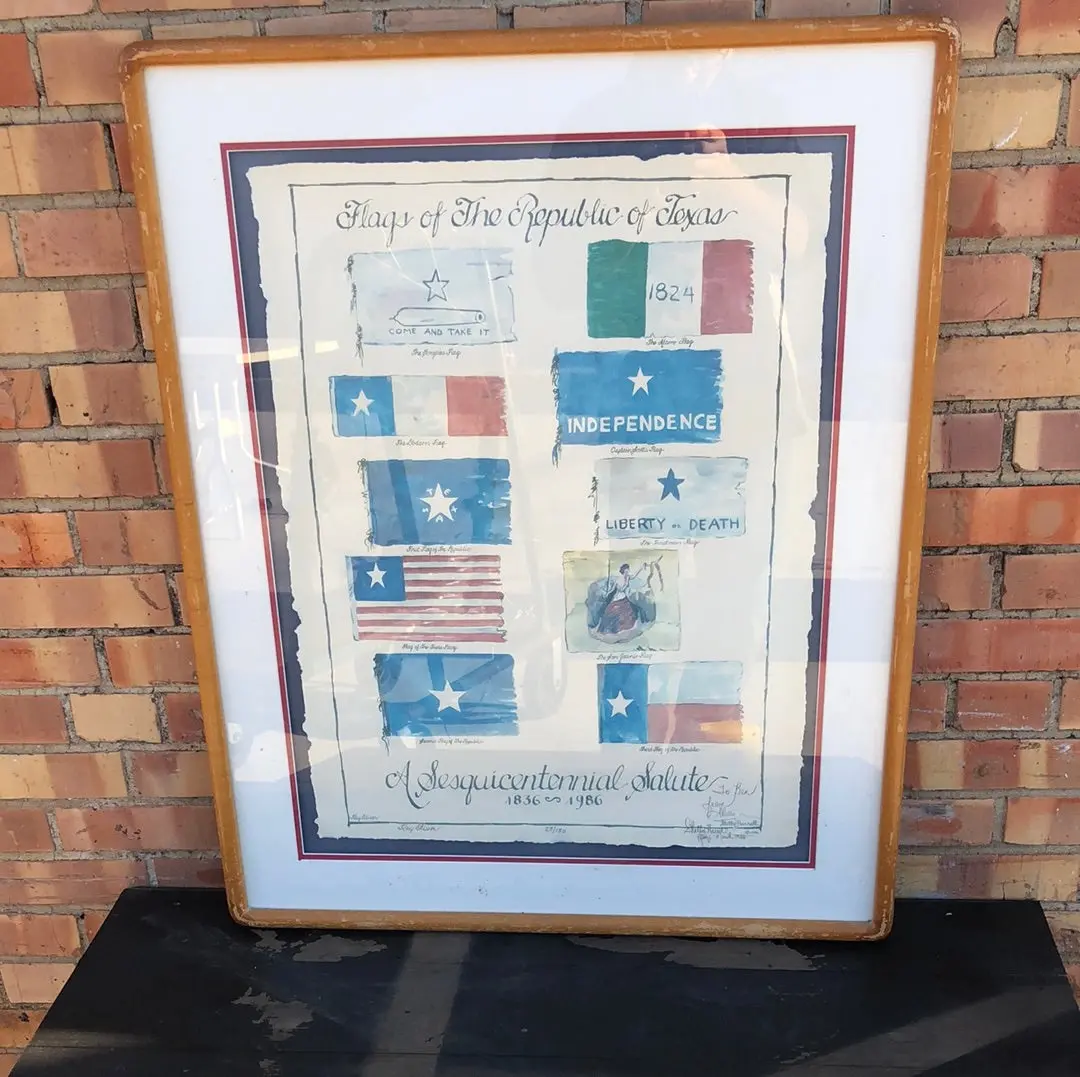 Flags Of The Republic Of Texas 1