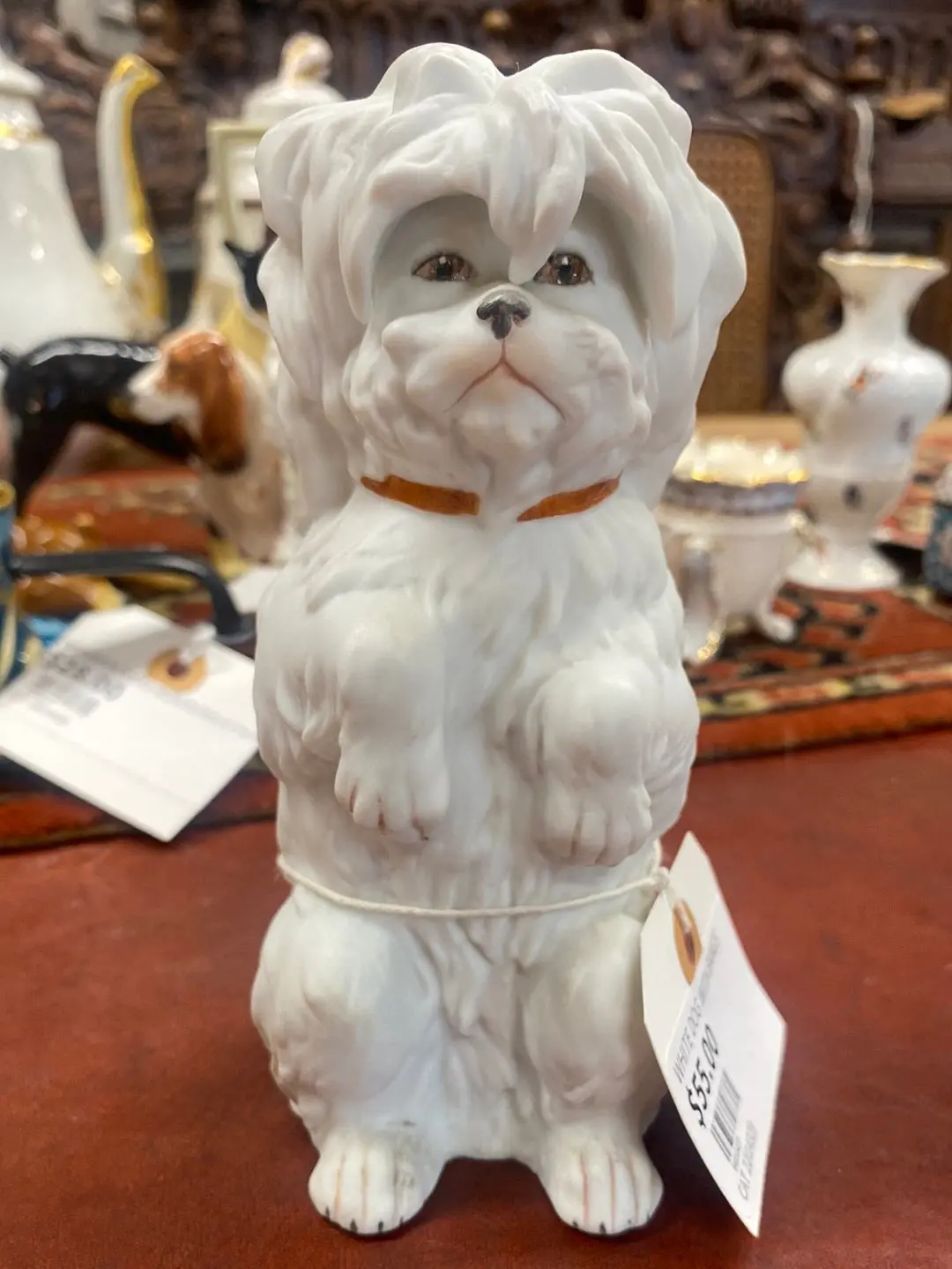 White Dog With Bangs 1