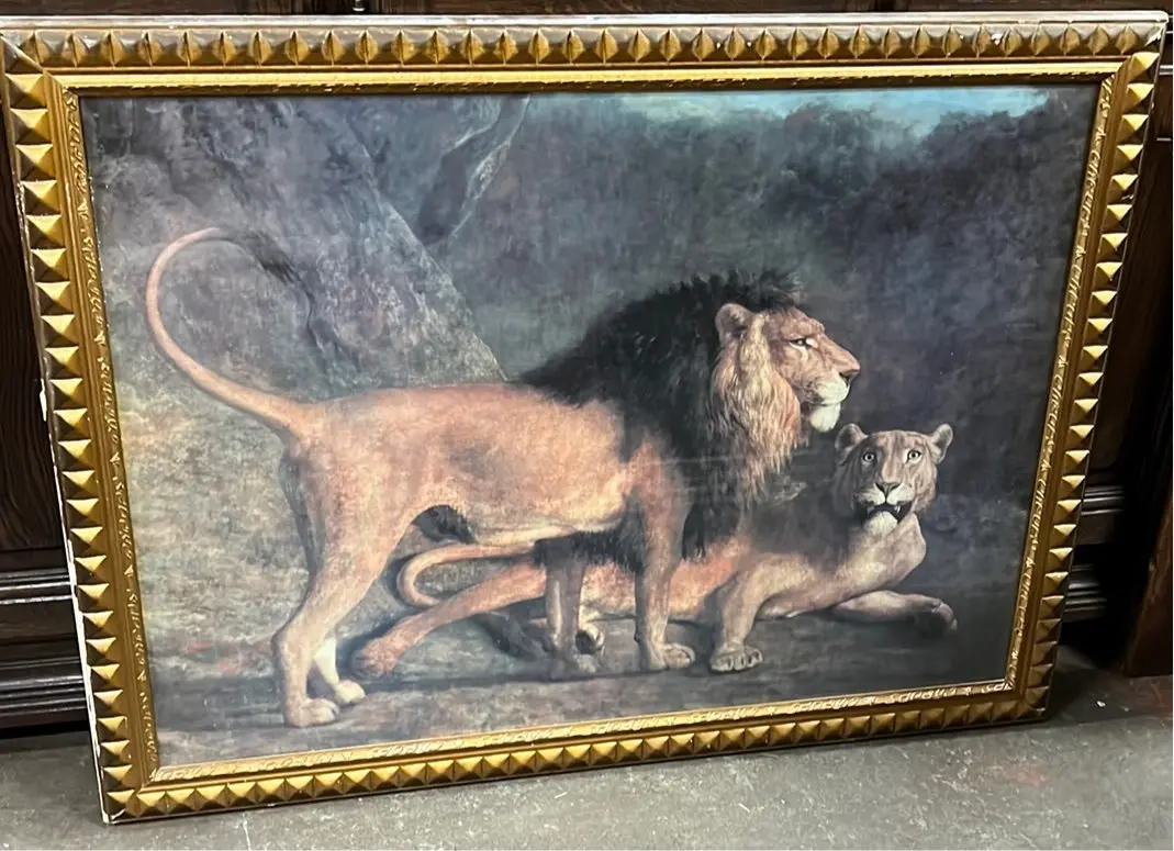 Large Lion Print In Gold Frame 1