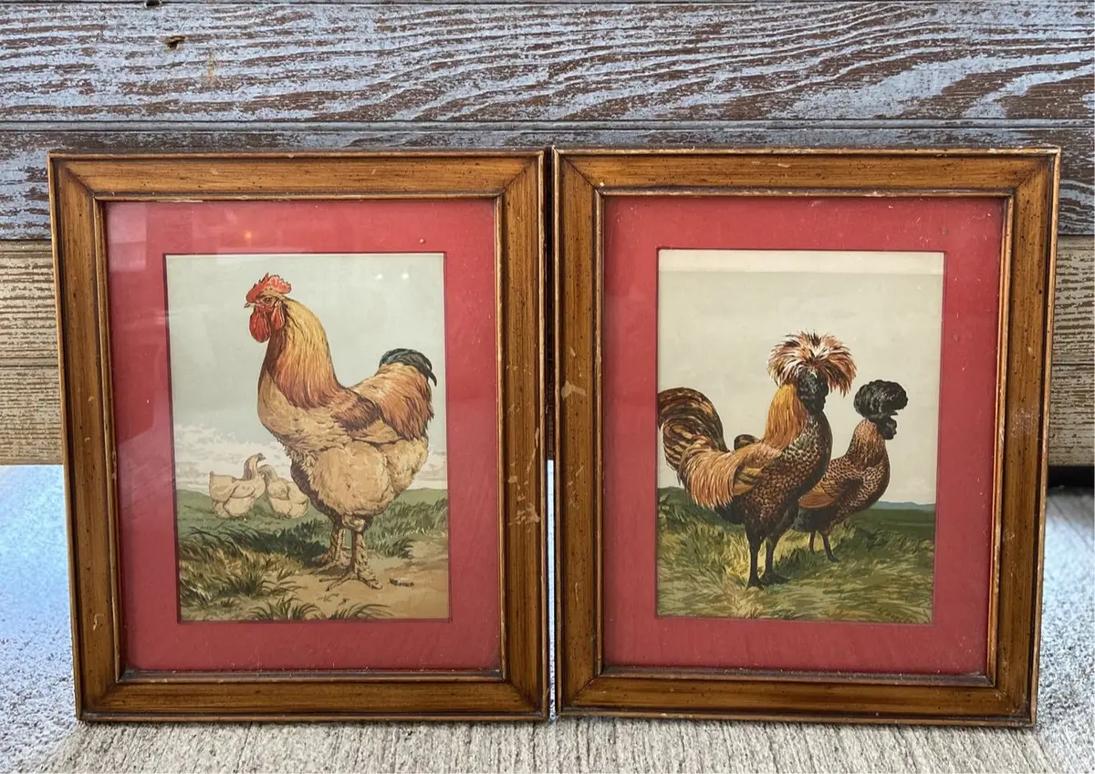 Pair Of Rooster Prints 1
