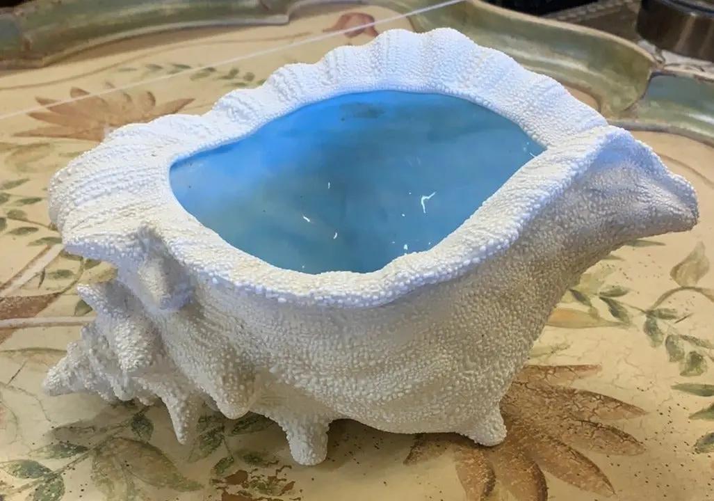 Realistic Shell Planter 1