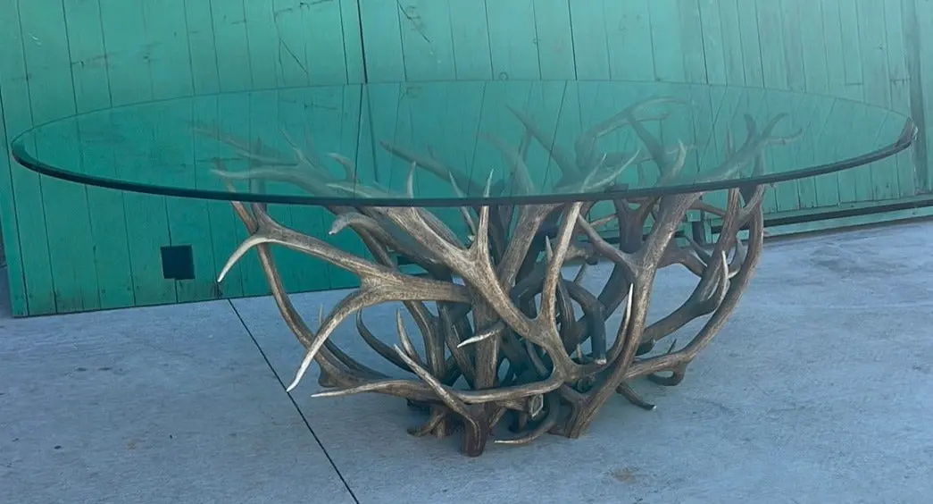 Oval Large Glass Top Table With Antler Base 1