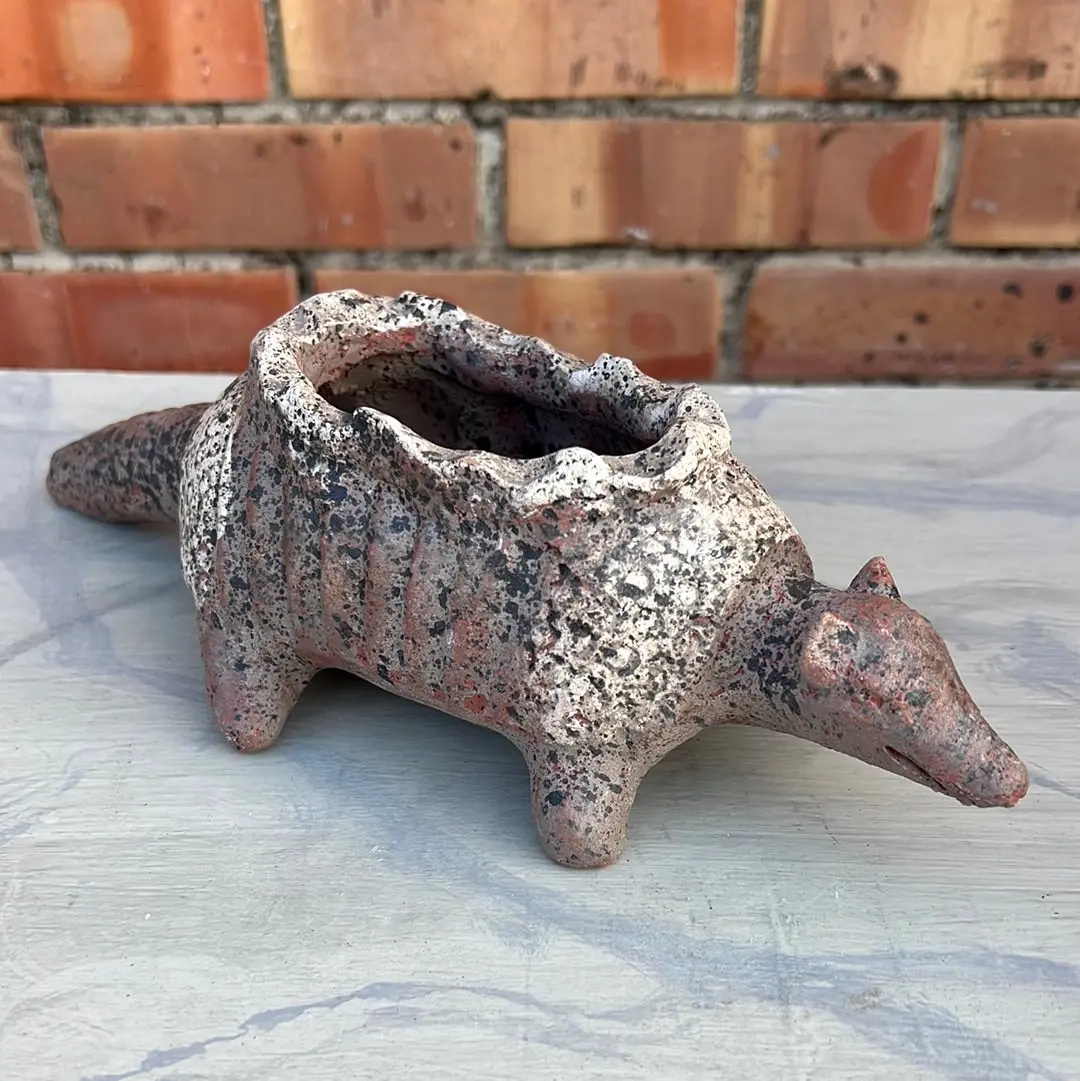 Terra Cotta Armadillo Planter 1