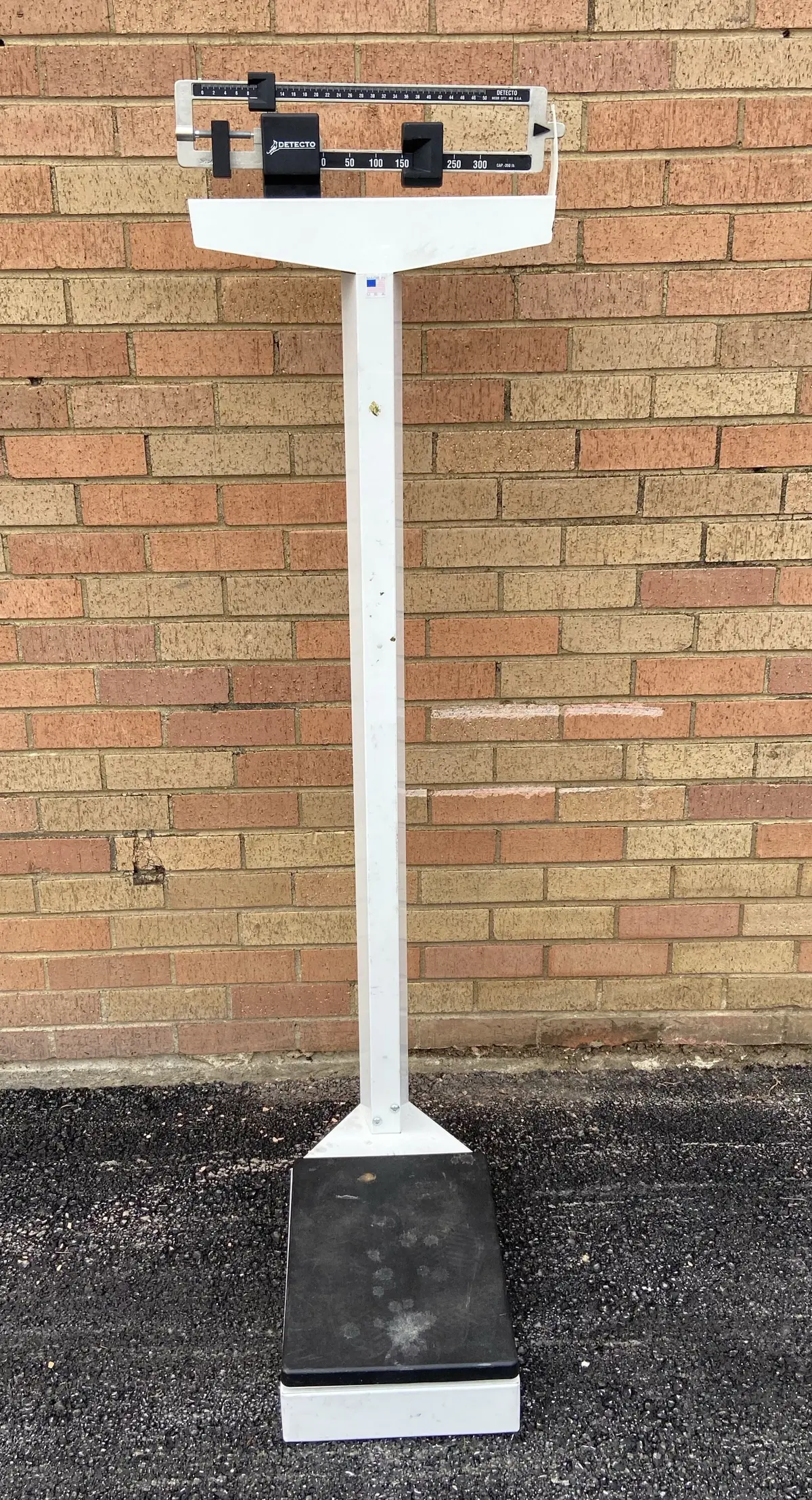 American Medical Scale 1