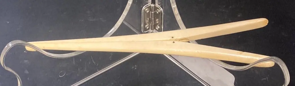 Bone Chopsticks 1