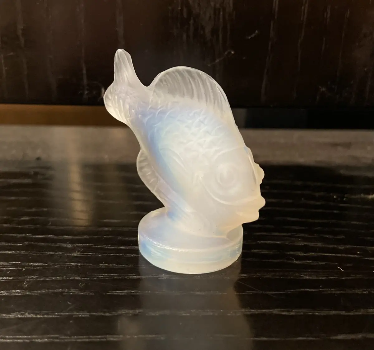 Sabino Glass Fish 1