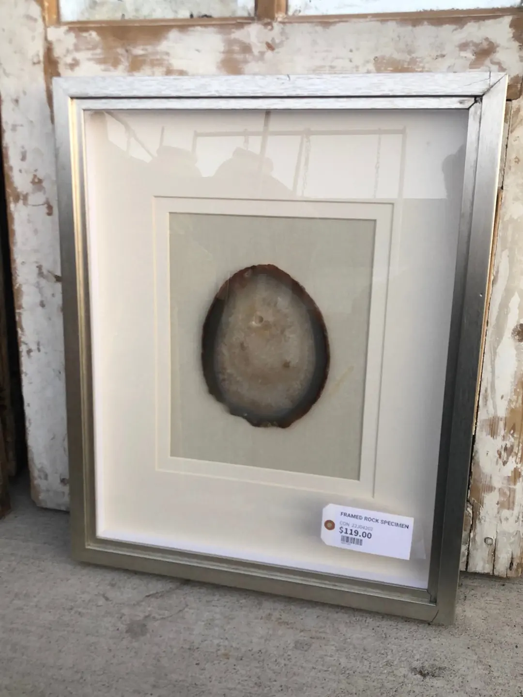 Framed Rock Specimen 1