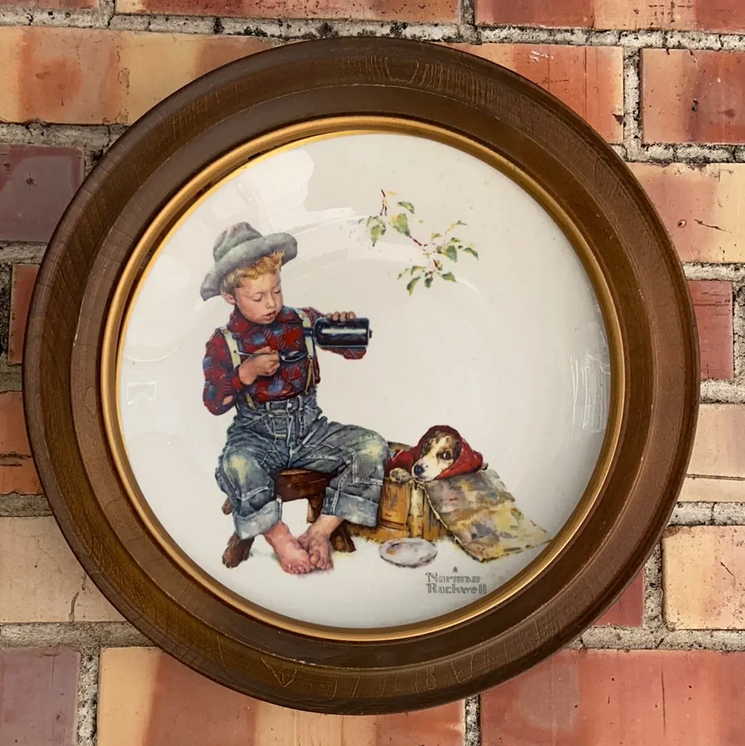 Norman Rockwell Framed Seasons Plate - Summer 1958 1