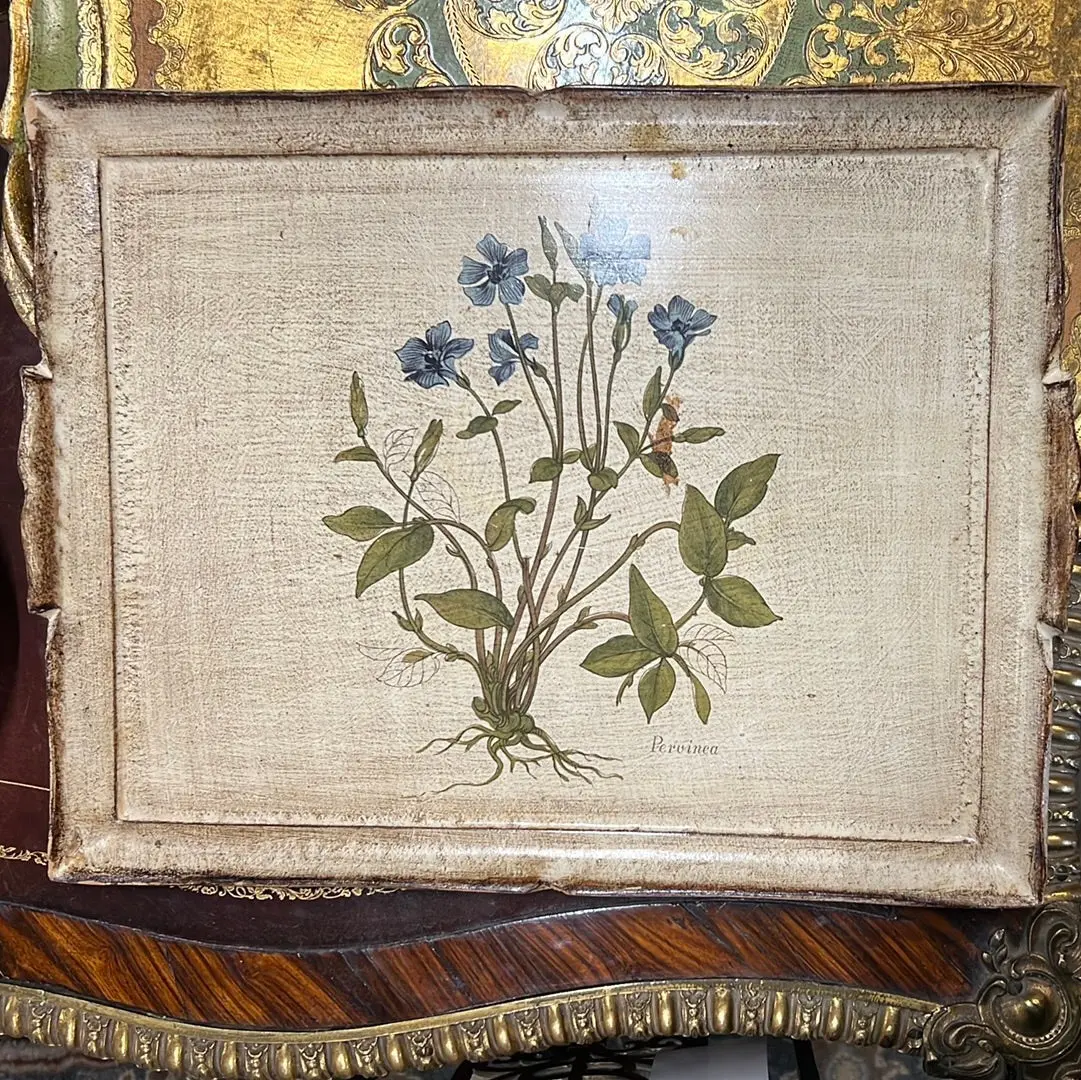 Rectangular Florentine Tray With Pervina Flower 1