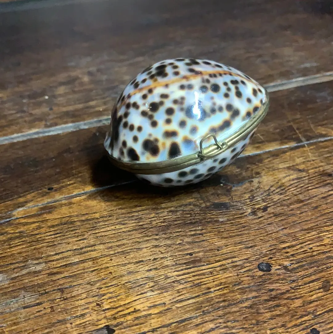 Cowrie Shell Box 1