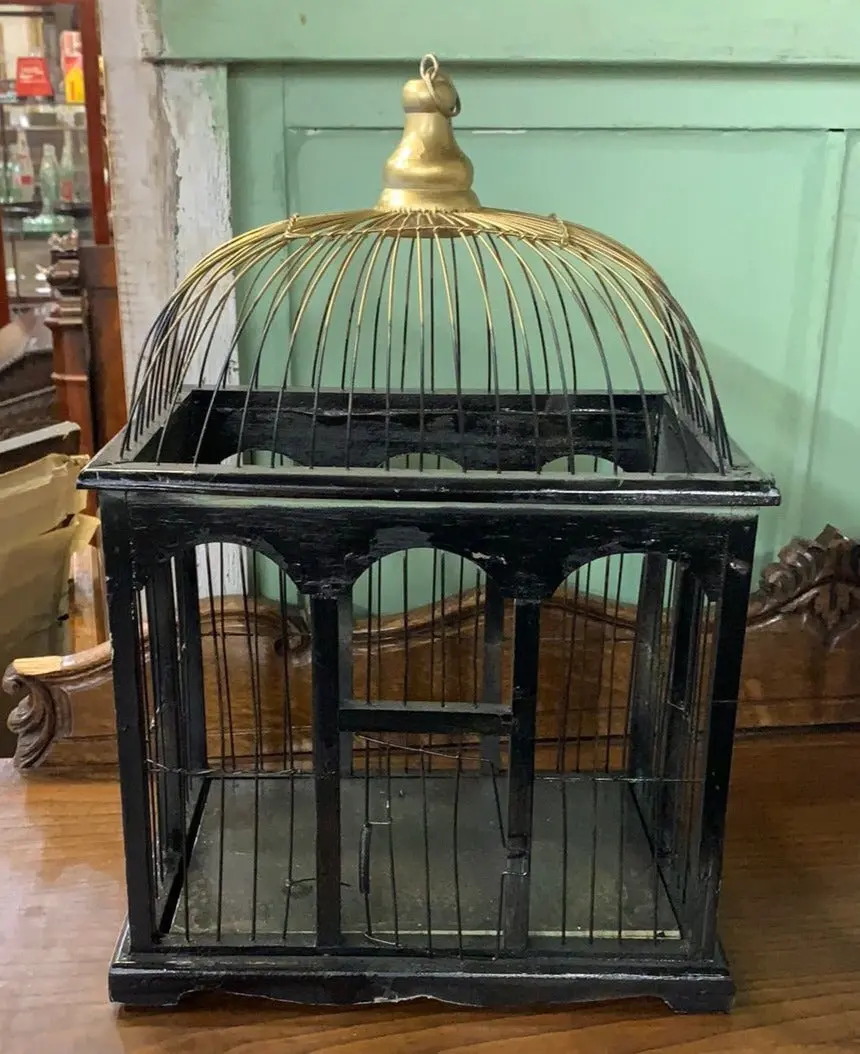 Black Bird Cage 1