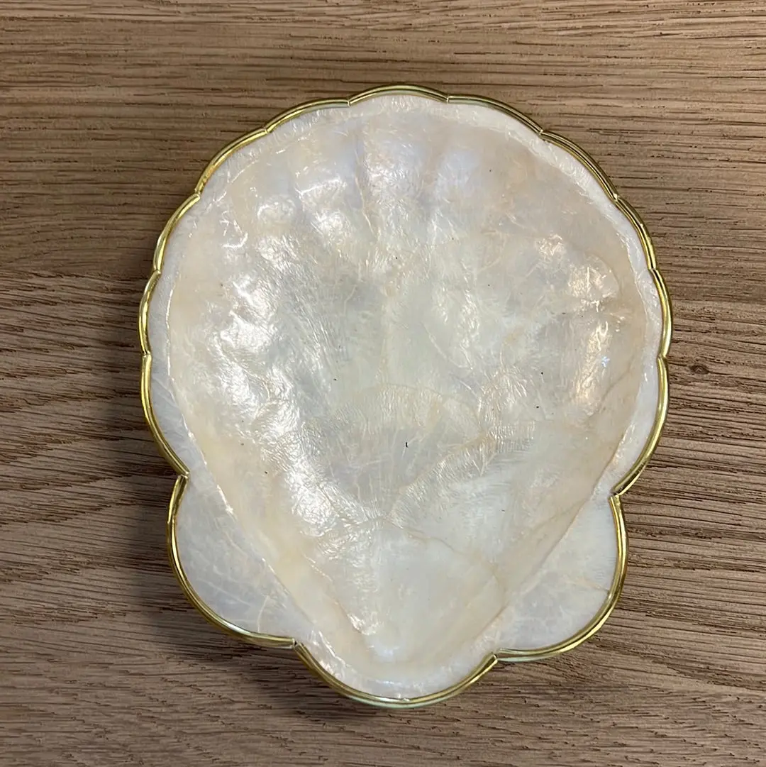 Shell Catch All Dish 1