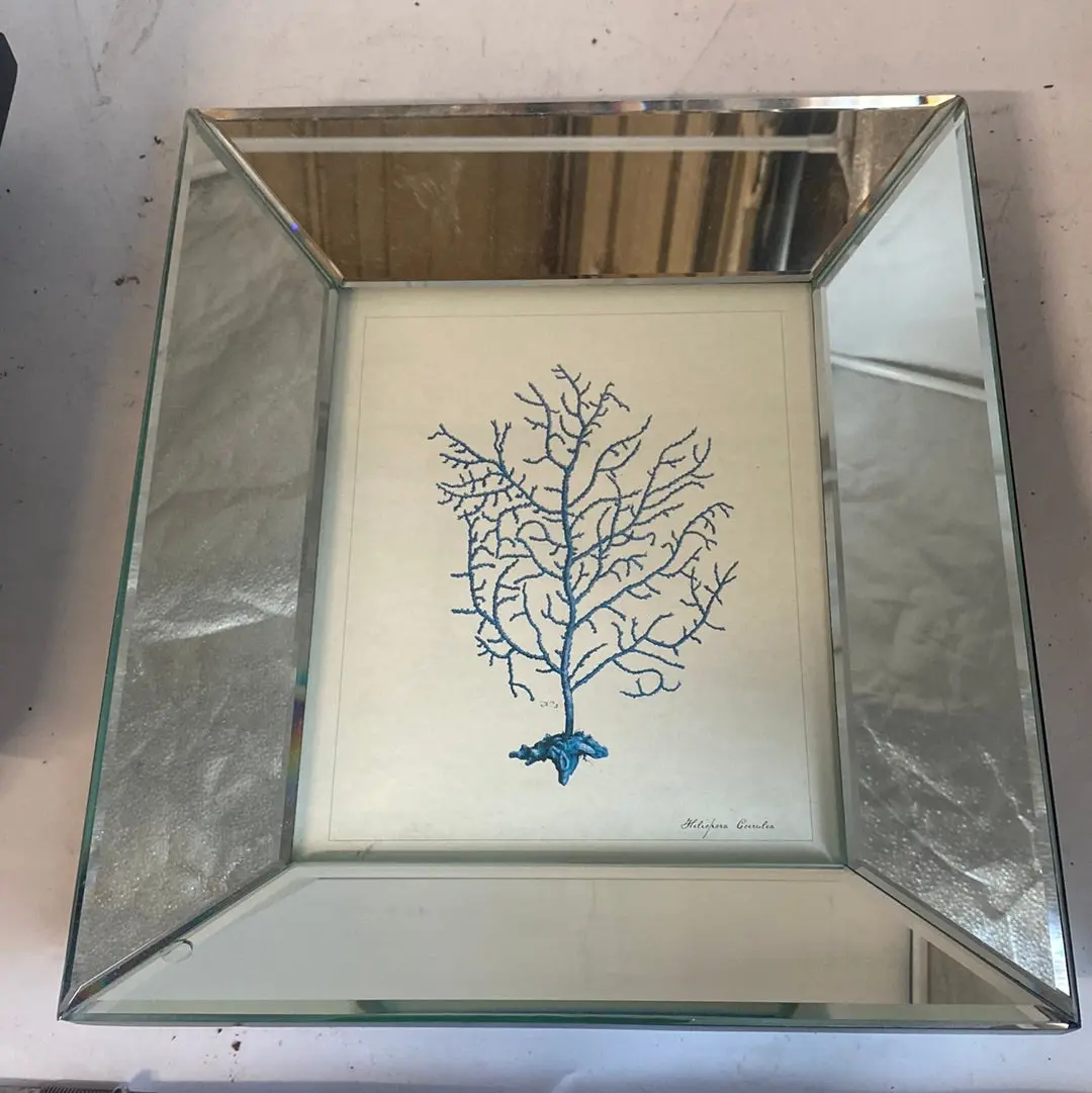 Beveled Mirrored Blue Coral Print 1