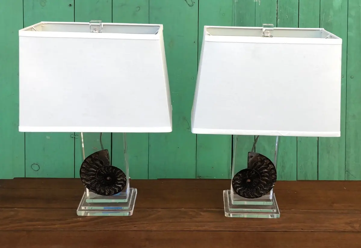 Pair Of Lucite With Chambered Nautilis Lamps With Shades 1