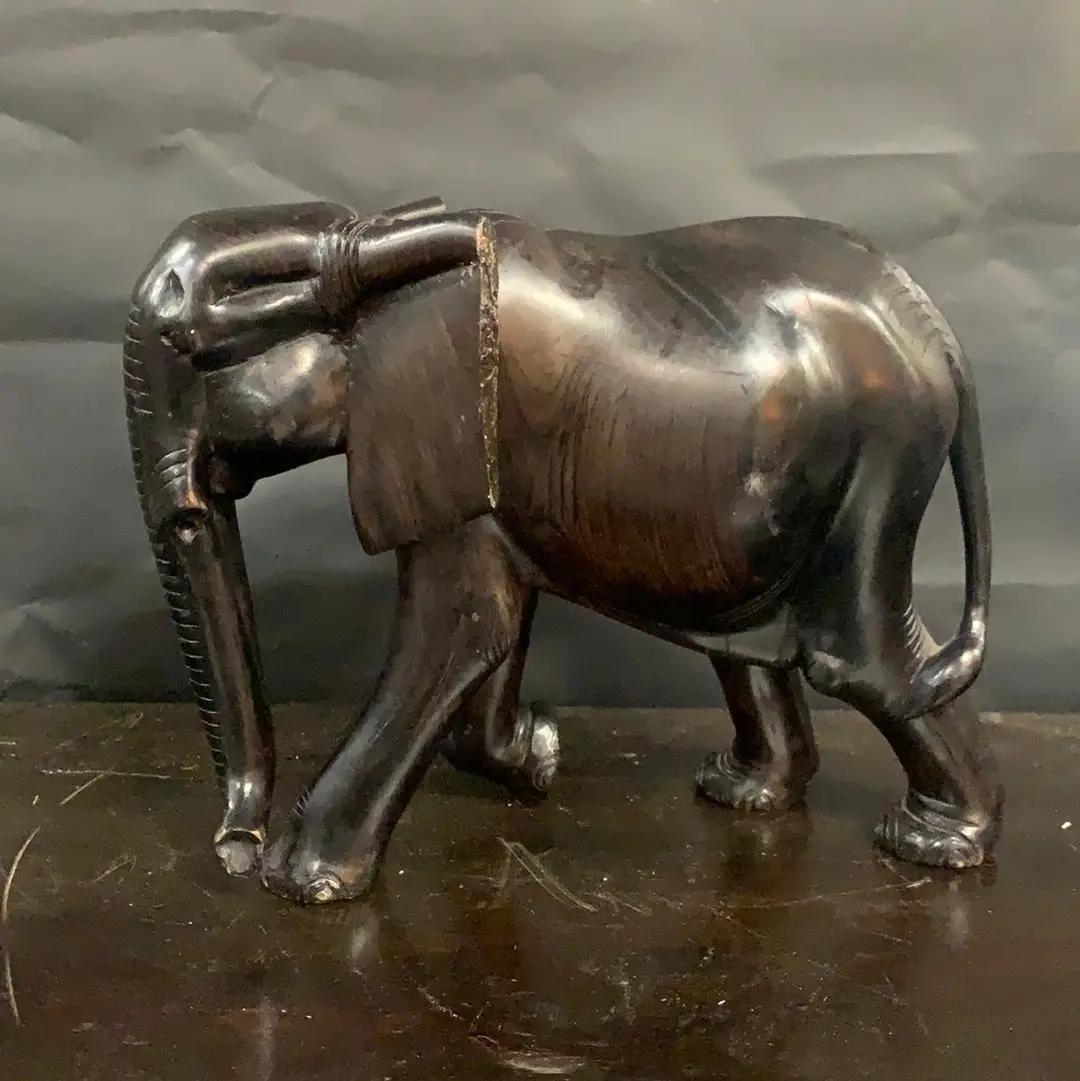 African Elephant As Found 1