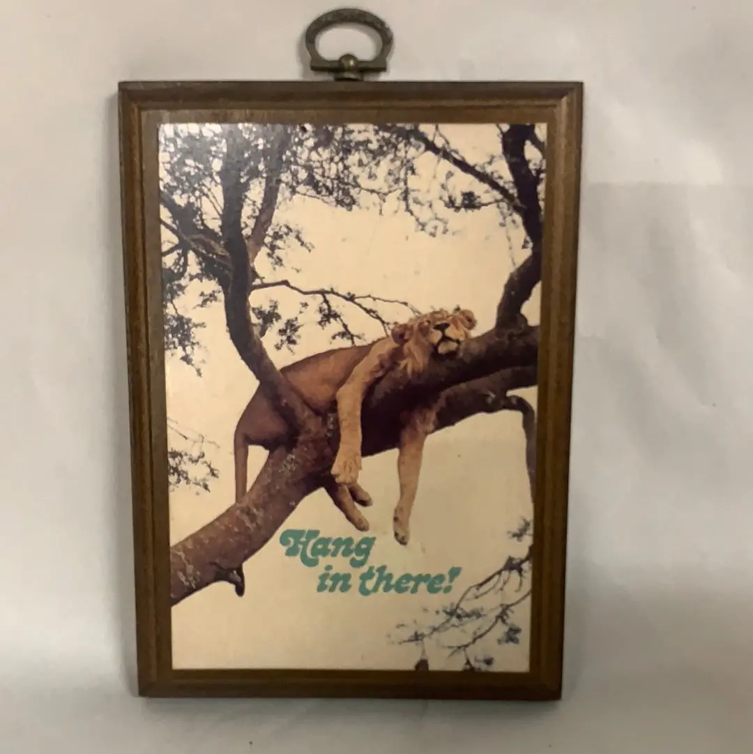 Vintage Wood "Hang In There" Plaque With Lion 1