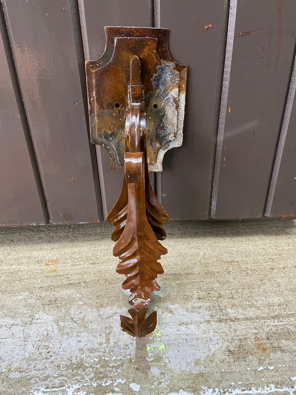 Single Arm Foliate Rusty Iron Hook 1