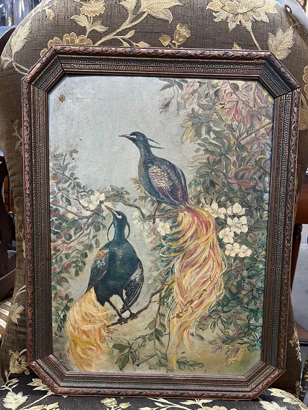 1920'S Oil Painting On Board Of 2 Colorful Birds 1