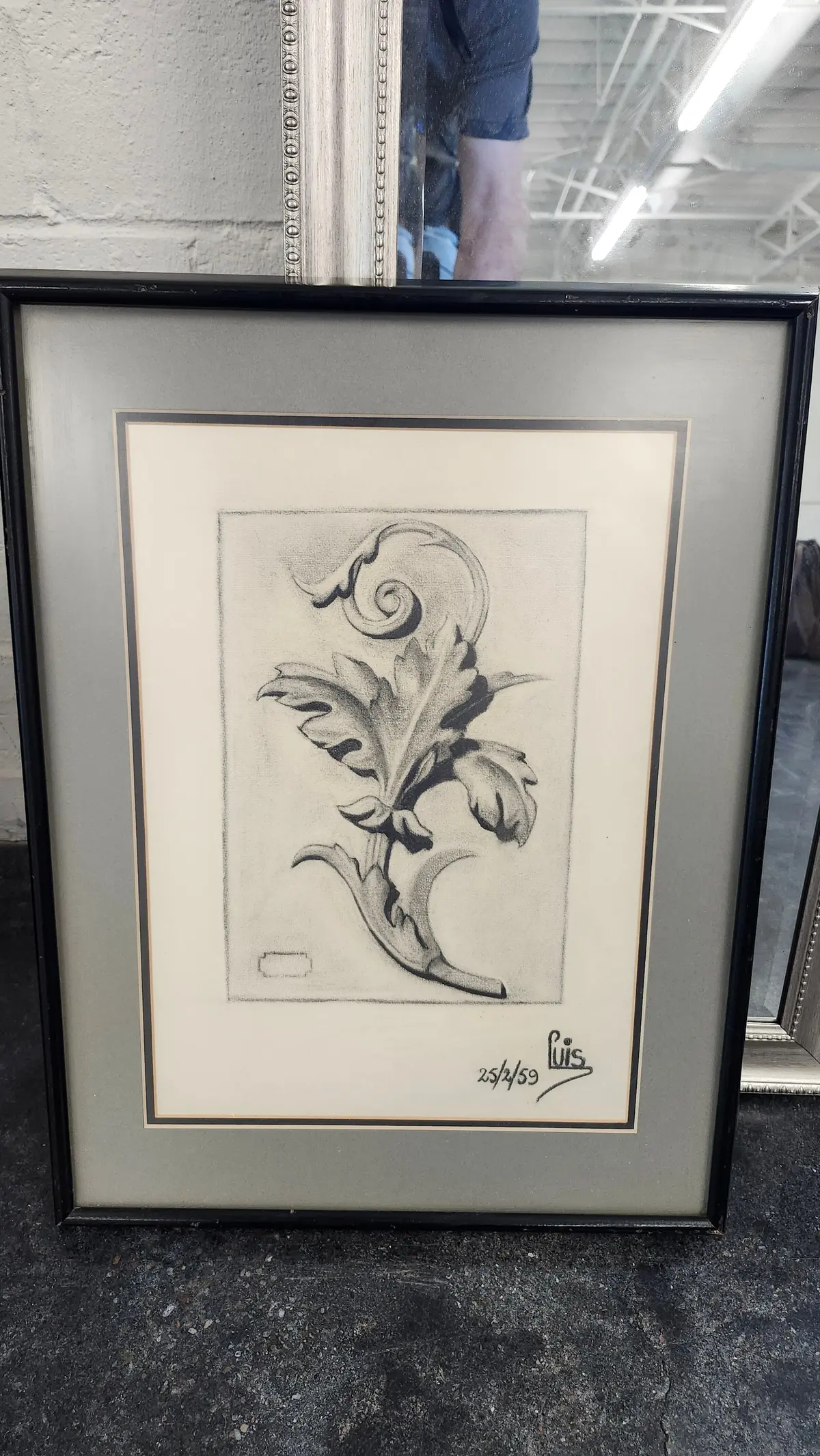 Charcoal Of Leafy Bracket By Luis Maya 1959 1