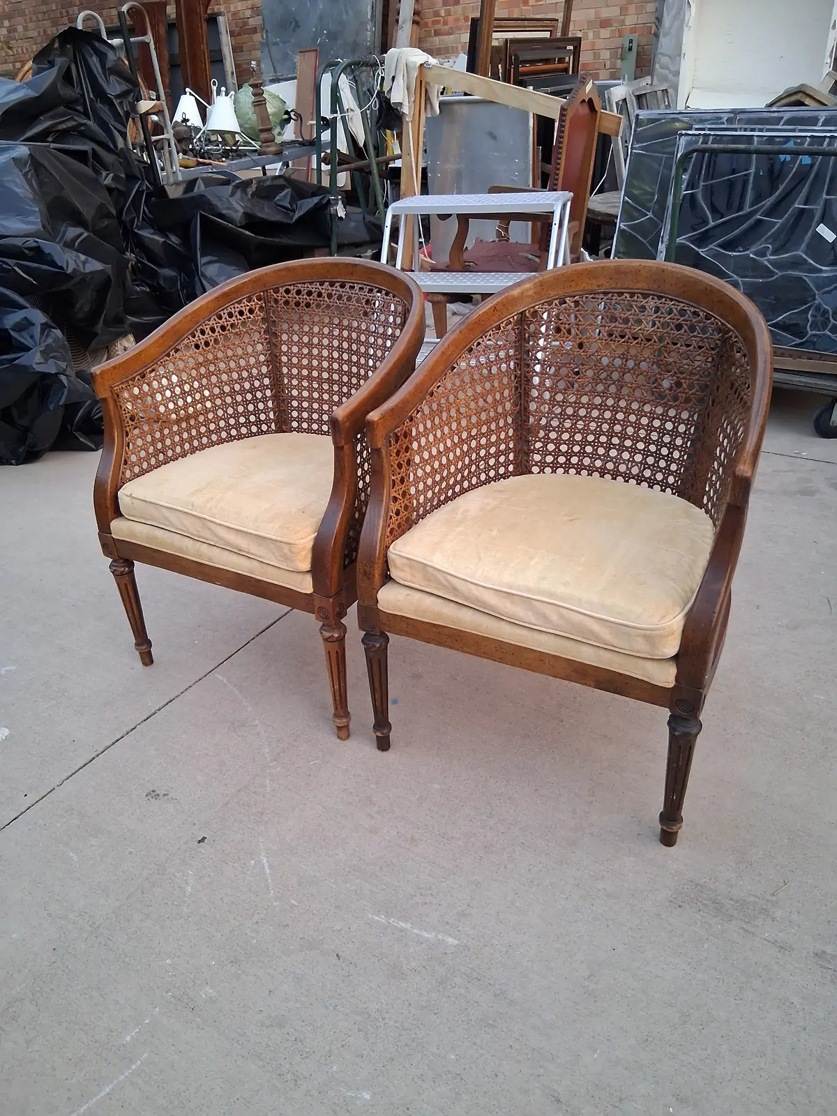 Pair Of Caned Back Louis Xvi Barrel Back Style Arm Chairs As Found Upholstery 1