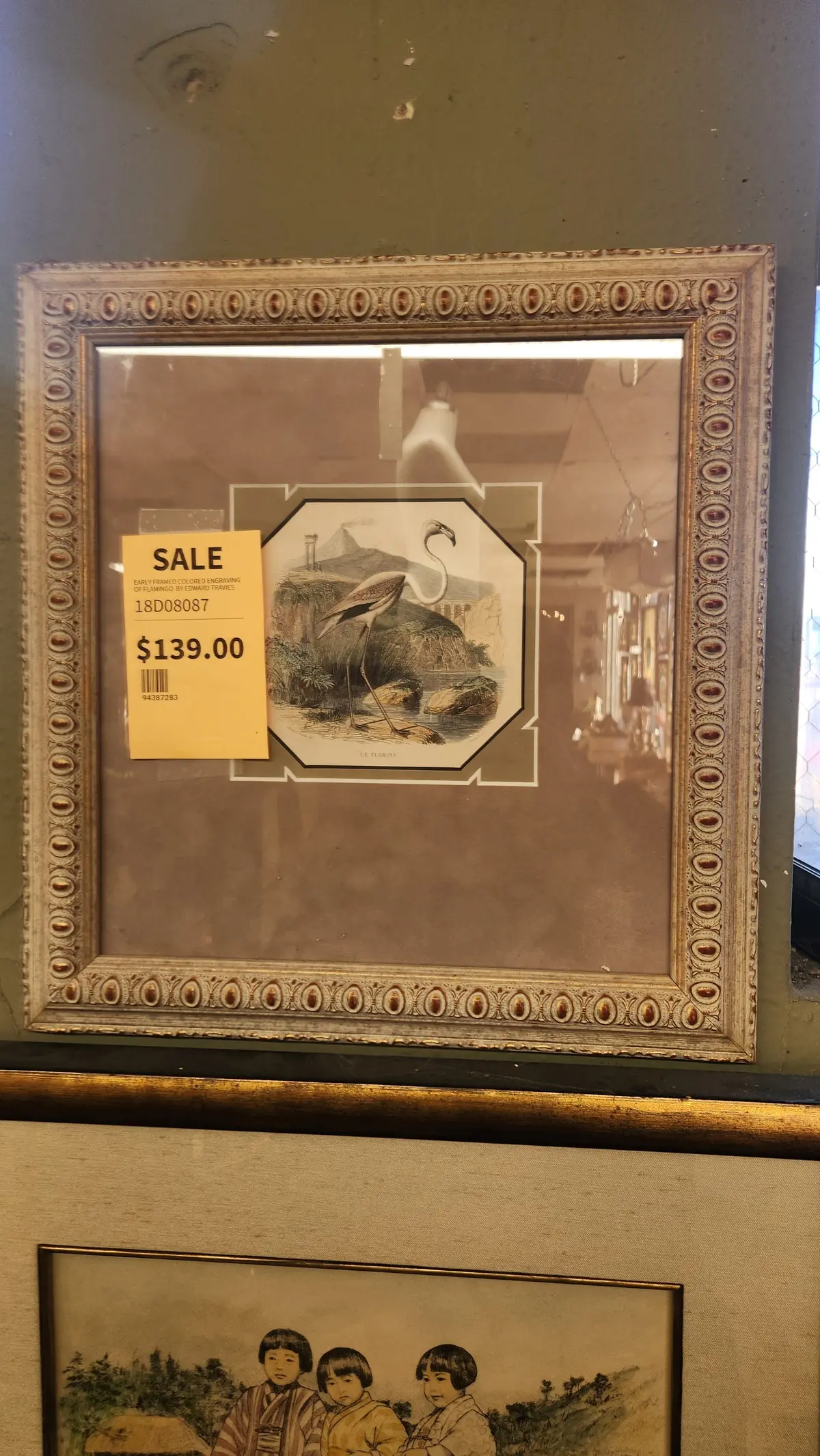Early Framed Colored Engraving Of Flamingo  By Edward Travies 1