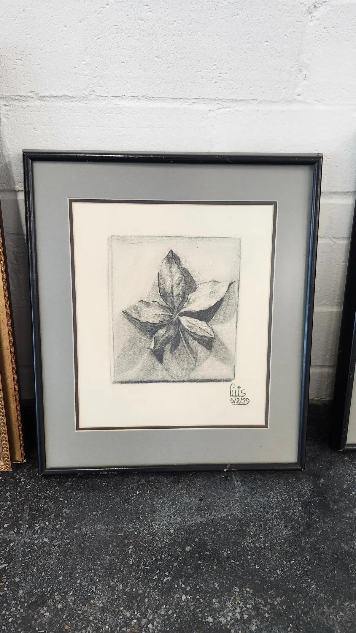Charcoal Drawing Of Leaf Luis Maya 1952 1