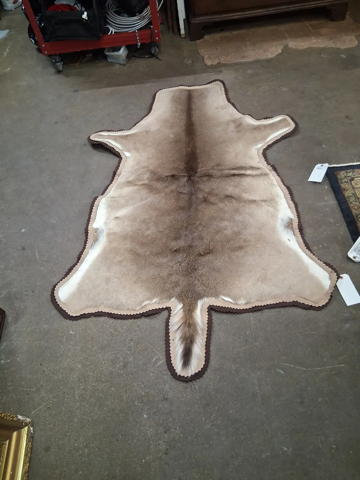 Deer Hide With Backing 1