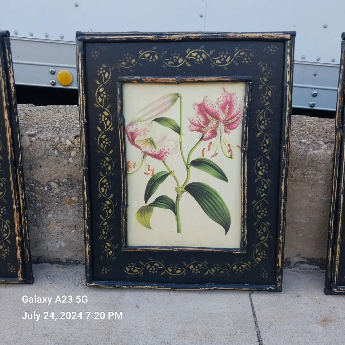 Botanical Oil Paintings On Board 1