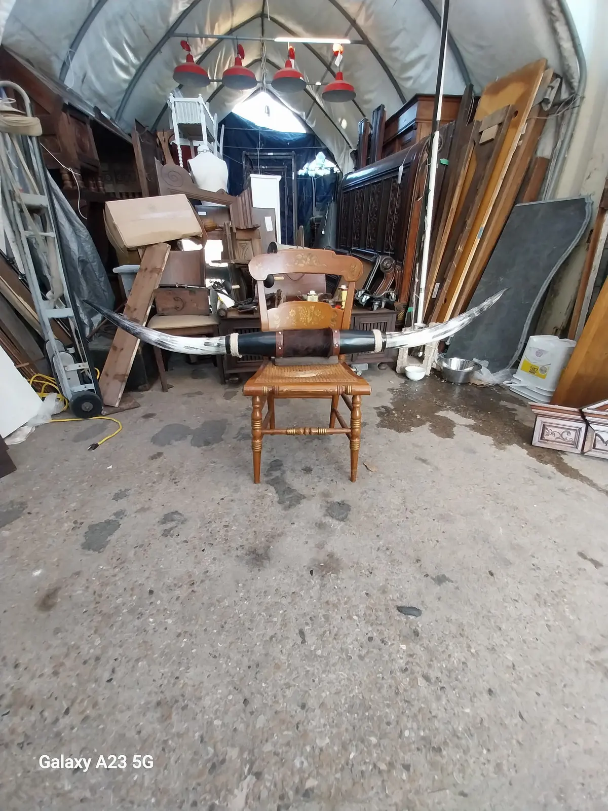 Longhorn Rack Large 1
