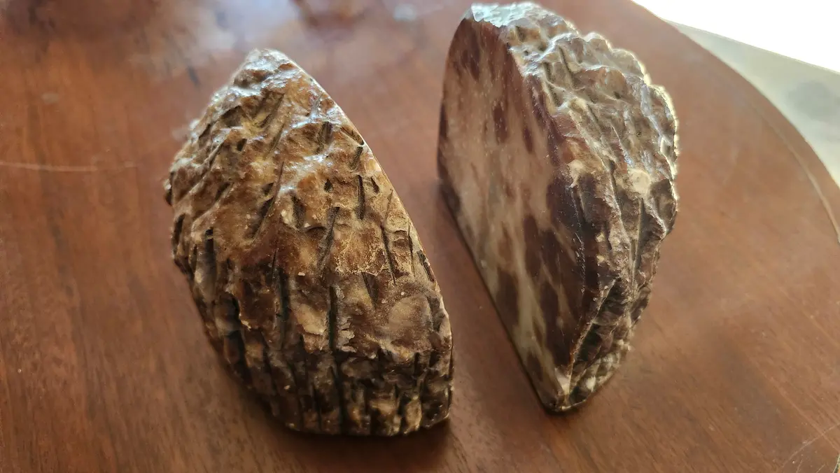 Pair Of Rock Bookends 1