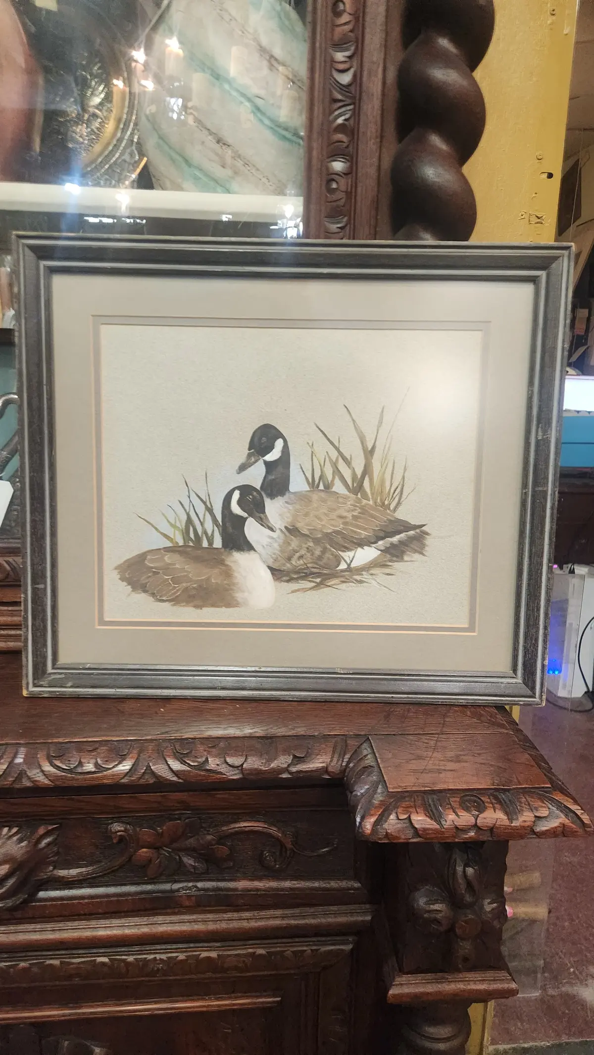 Picture Of Two Woodland Ducks 1