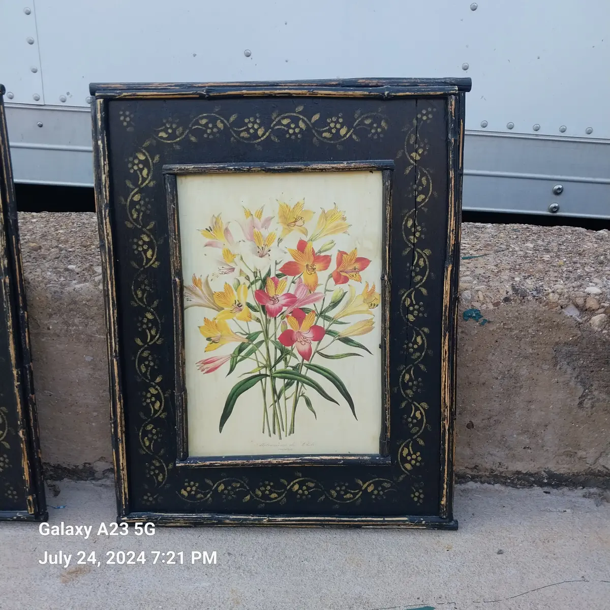 Botanical Oil Paintings On Board 1