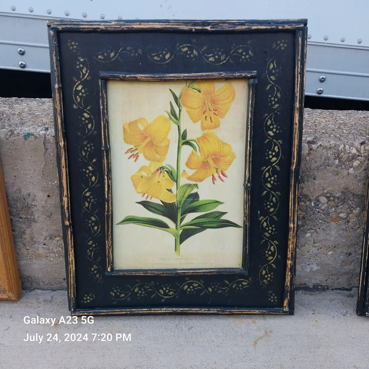 Botanical Oil Paintings On Board 1