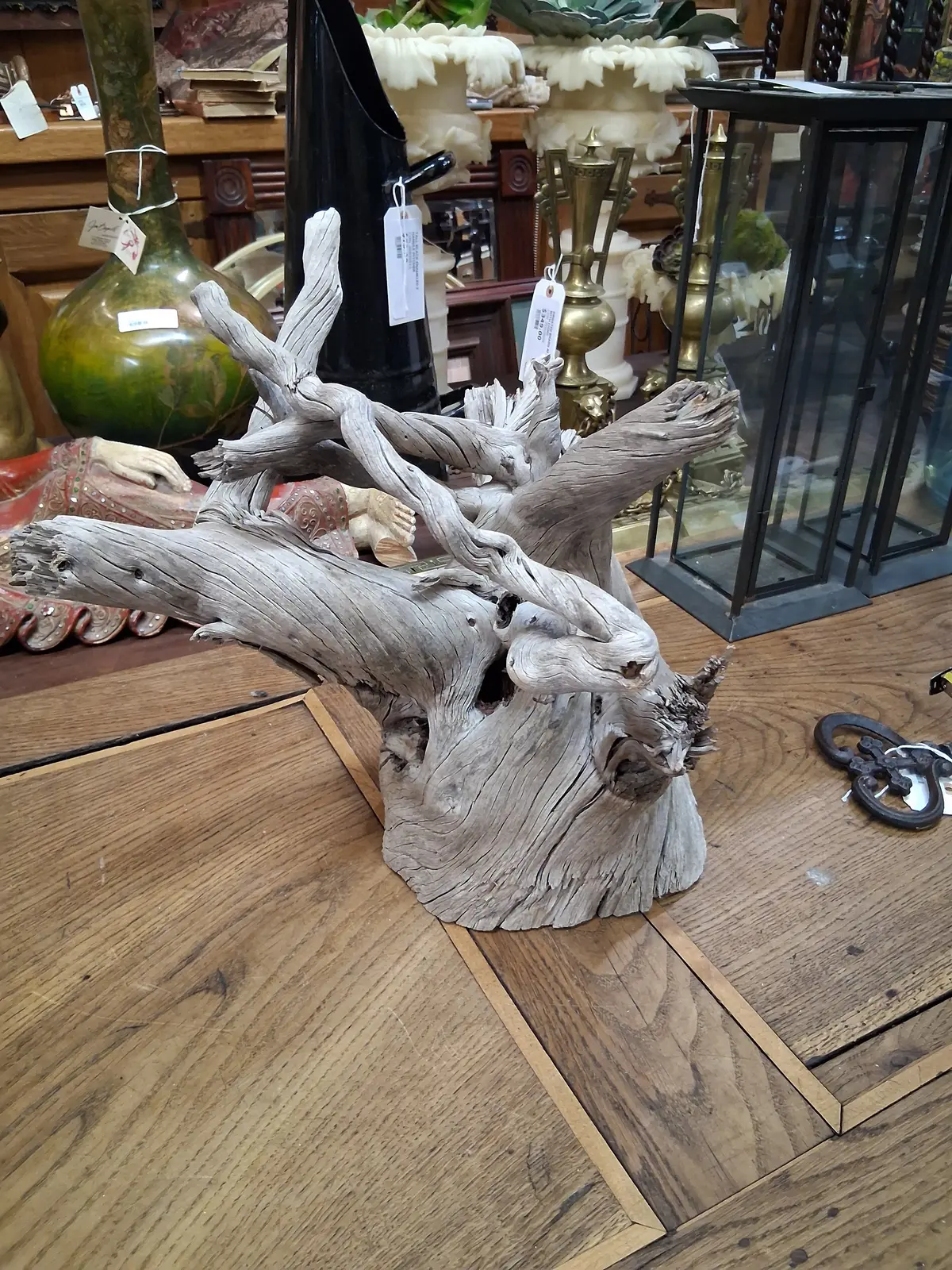 Gnarled Driftwood Piece 1